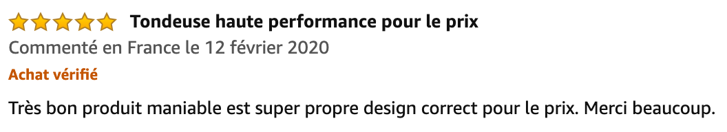 commentaire Brast Briggs Stratton 500E